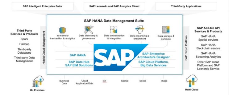 SAP Data Management