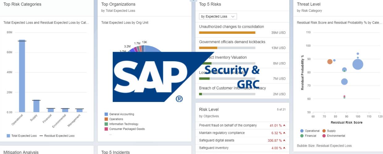 SAP Risk Management